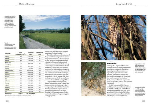 Owls of Europe -  Biology, Identification and Conservation  -  Scherzinger, W. Mebs,T. 2024